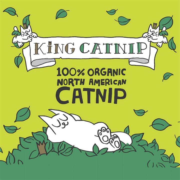 King Catnip